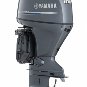 YAMAHA F100GETX